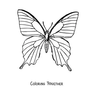Coloring page of a realistic butterfly