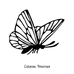 Coloring page of a butterfly in profile
