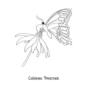 Coloring page of a butterfly resting on a flower