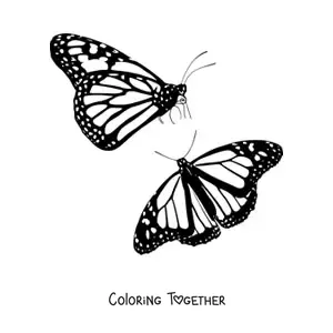 Coloring page of two monarch butterflies flying