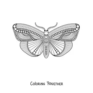 Coloring page of a butterfly mandala