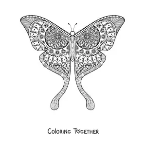 Coloring page of a butterfly-shaped mandala