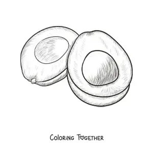 Coloring page of an avocado drawn in a realistic style
