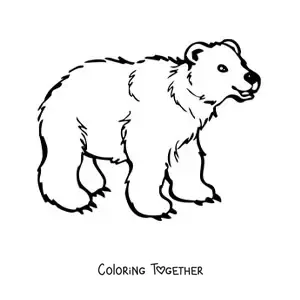Coloring page of a smiling cartoon bear on all fours