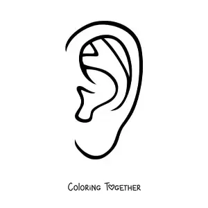 Coloring page of the human ear