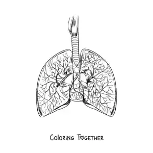 Coloring page of realistic lungs and a heart