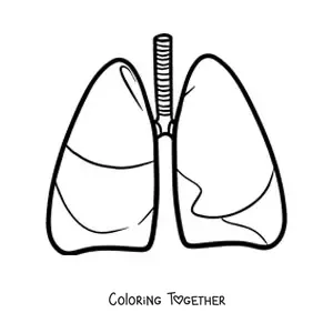 Coloring page of a pair of simple human lungs