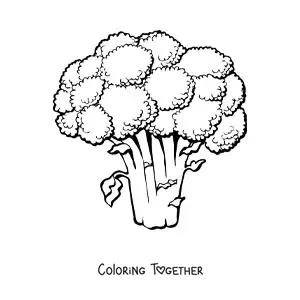 Coloring page of a broccoli