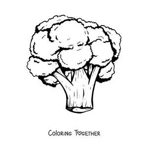 Coloring page of a realistic broccoli