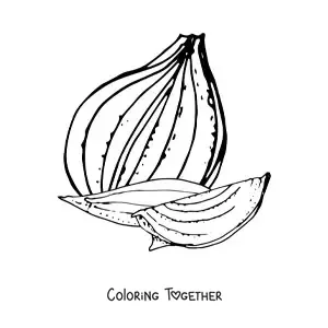 Coloring page of onion pieces
