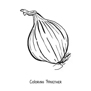 Coloring page of a large onion