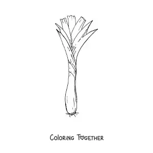Coloring page of a long green onion or scallion