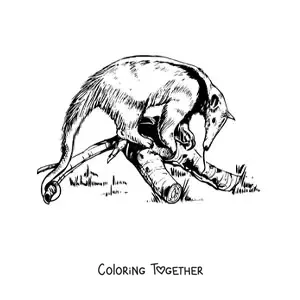 Coloring page of a realistic anteater