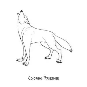 Coloring page of a wild wolf howling