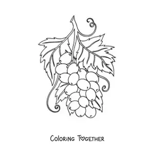 Coloring page of a bunch of grapes with leaves