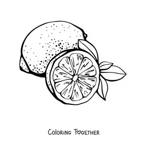 Coloring page of a whole lemon and half a lemon