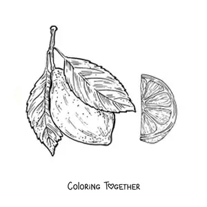 Coloring page of a whole lemon and a realistic piece of lemon