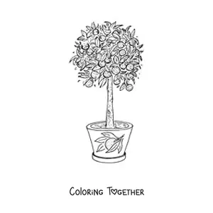 Coloring page of a lemon tree in a pot