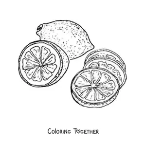 Coloring page of a whole lemon and several lemon slices