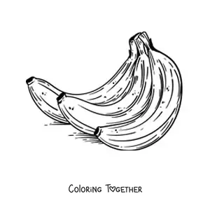 Coloring page of a realistic bunch of bananas