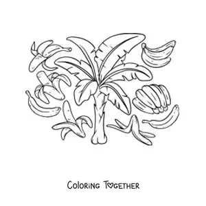 Coloring page of several bananas and a banana plant