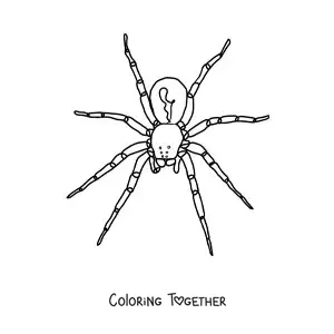 Coloring page of an easy Halloween spider