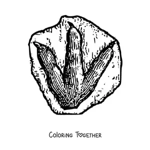 Coloring page of a dinosaur footprint