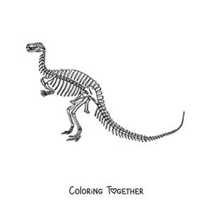 Coloring page of a skeleton of a dinosaur