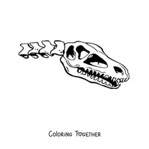 Coloring page of a skull of a dinosaur