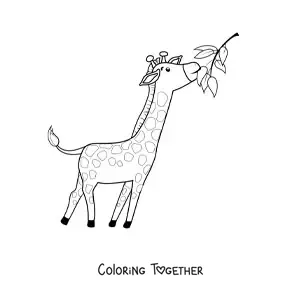Coloring page of a giraffe eating leaves