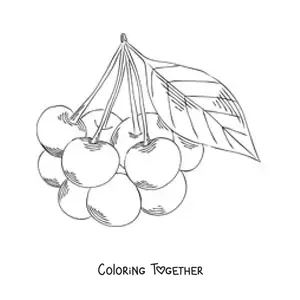 Coloring page of a bunch of cherries