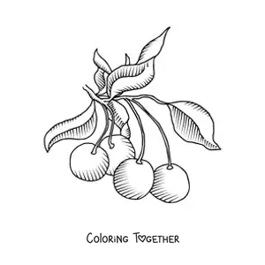Coloring page of a cherry tree branch with several cherries