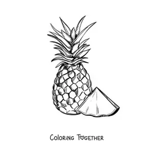 Coloring page of a pineapple and a slice