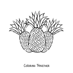 Coloring page of three pineapples