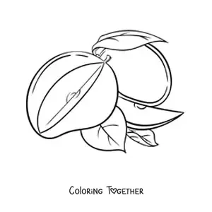Coloring page of a sliced mango