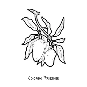 Coloring page of a mango tree branch with two mangoes hanging