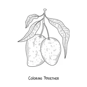 Coloring page of a mango tree branch with two mangoes hanging
