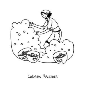 Coloring page of a girl gathering fruits in a field