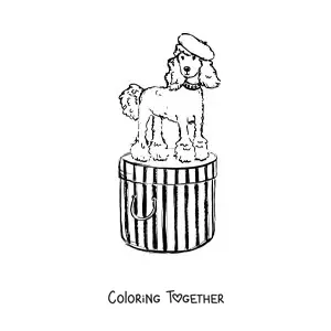 Coloring page of a poodle dog