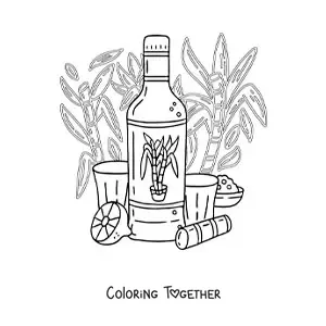 Coloring page of a traditional drink of Brazil