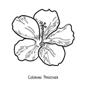 Coloring page of a large Hawaiian flower