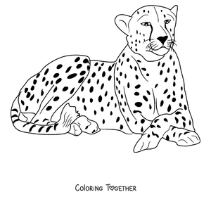 Coloring page of a cheetah lying down and resting