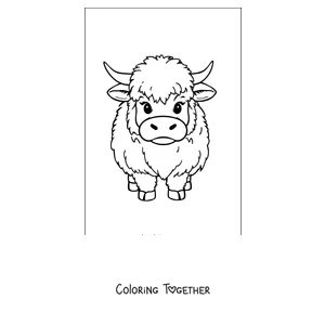 Coloring page of fluffy highland calf