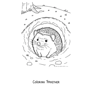 Coloring page of a hedgehog peeking out of its burrow