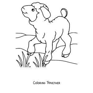 Coloring page of lamb on the grass under the sun