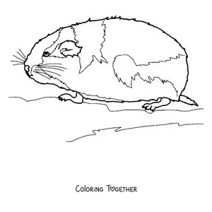 Coloring page of a lemming resting in profile