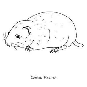 Coloring page of a lemming walking in profile