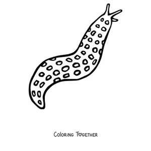 Coloring page of a leopard slug covered in spots