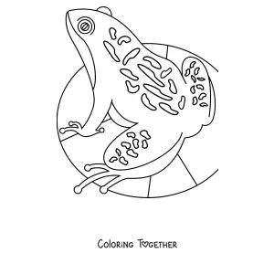 Coloring page of a frog with mandala-style patterns on a lily pad