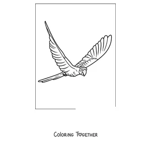 Coloring page of a hyacinth macaw flying with open wings